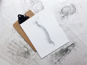 brown and black clipboard with whiteAbout Oren Zarif: spinal cord print manual